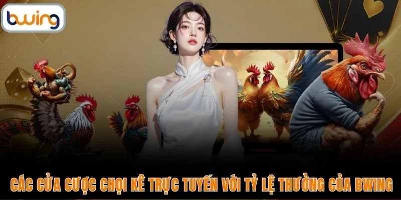 Các cửa cược chọi kê trực tuyến với tỷ lệ thưởng của BWING