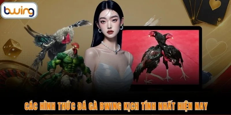 Các hình thức đá gà BWING kịch tính nhất hiện nay